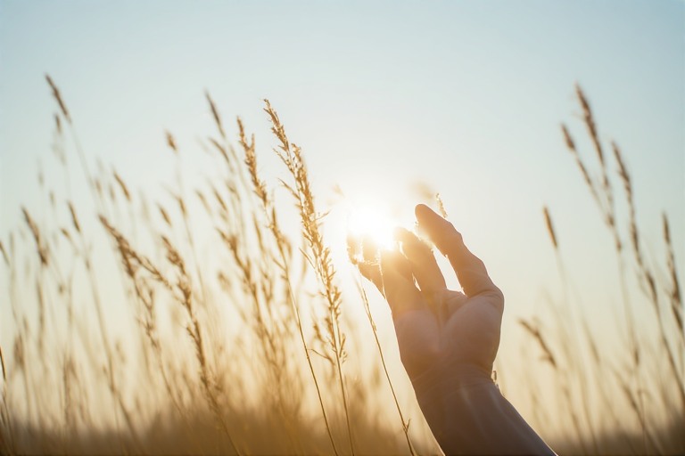 Membiarkan Hari Berakhir dengan Tempo yang Lebih Lembut
